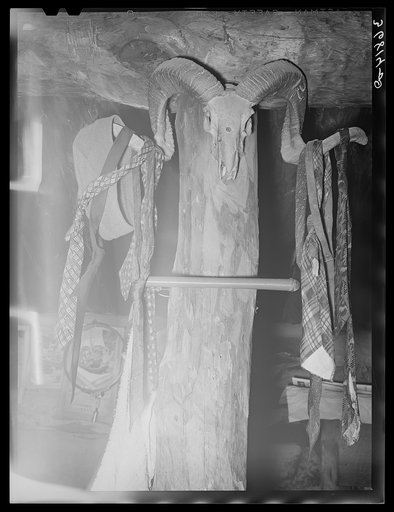 Coat and hat rack in homesteader's dugout. Pie Town, New Mexico