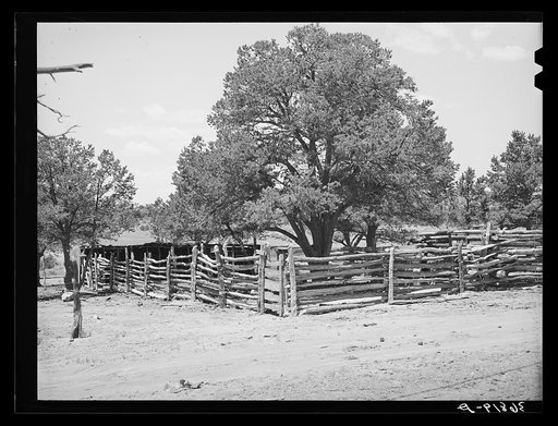 Corral made of poles. Pie Town, New Mexico