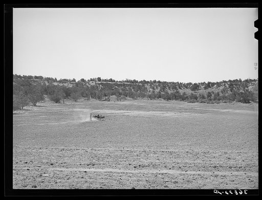 Building terraced with burros on homesteader's farm at Pie Town, New Mexico
