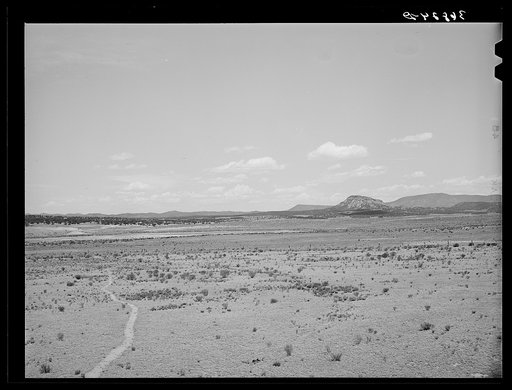 Character of the country near Pie Town, New Mexico
