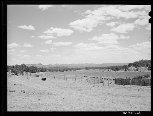 Farmland near Pie Town, New Mexico