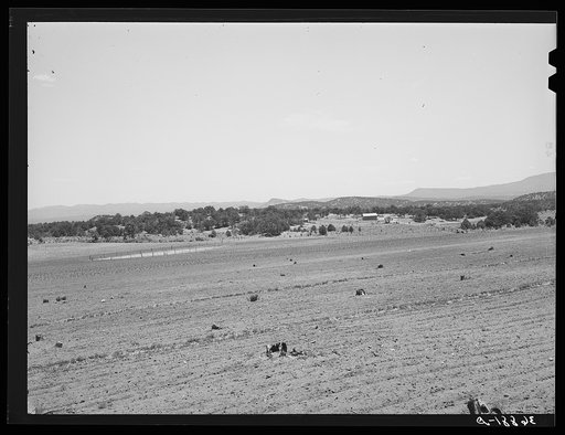 Farming land. Pie Town, New Mexico