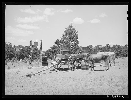 Untitled photo, possibly related to: Farm scene. Pie Town, New Mexico
