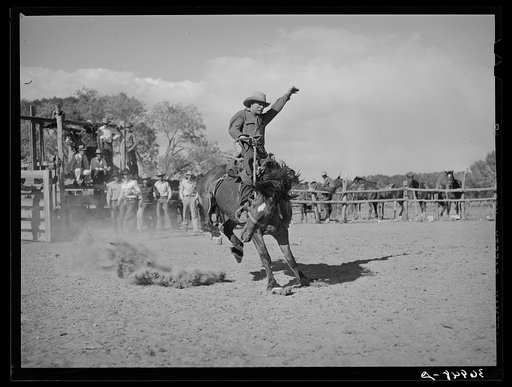 Quemado, New Mexico. Bronc busting at the rodeo