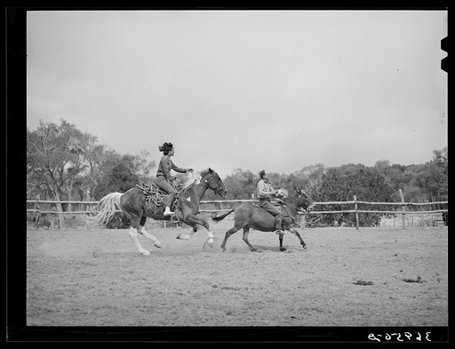 Trick riding at rodeo. Quemado, New Mexico