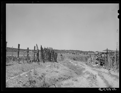 Country land, irrigation ditch and fences. Chamisal, New Mexico