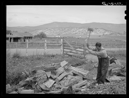 Spanish-American farmer chopping wood. Supply of wood is easily available in the nearby forest. Chamisal, New Mexico