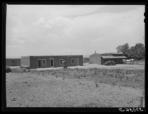 Adobe house with small patch of corn. Costilla, New Mexico