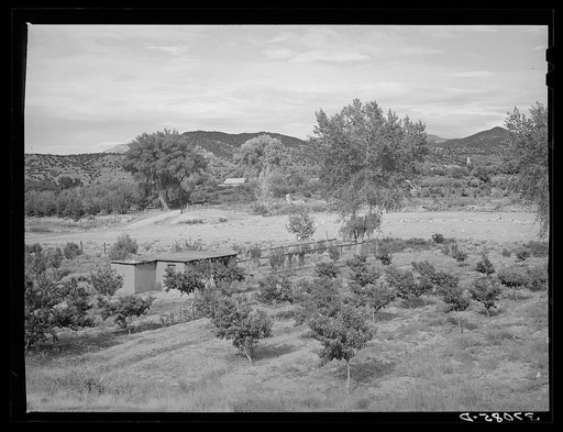 Irrigated Spanish-American farm. Amalia, New Mexico