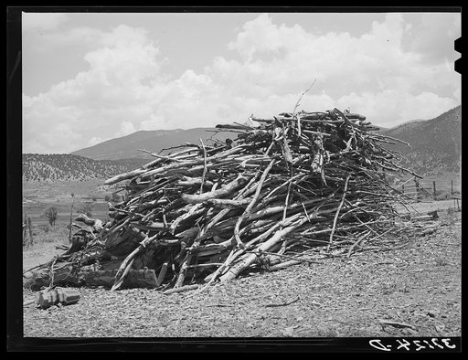 Wood supply of Spanish-American farmer. Amalia, New Mexico