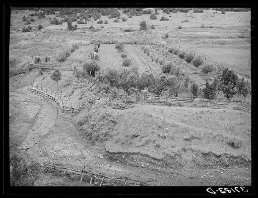 Garden and orchard of Spanish-American farmer. Notice revetment at left to prevent stream from cutting further into bank. Chamisal, New Mexico
