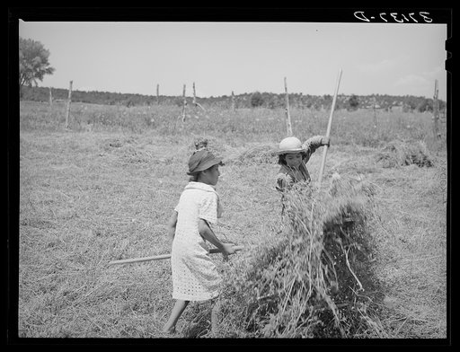 Young Spanish-American girls pitching hay. Chamisal, New Mexico