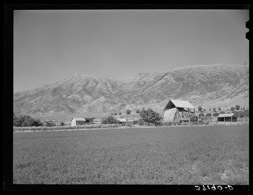 Untitled photo, possibly related to: Hay barn on farm at foot of Wasatch Mountains. Box Elder County, Utah