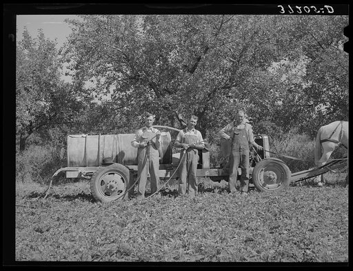 Untitled photo, possibly related to: Members of  FSA (Farm Security Administration) cooperative sprayer. Cache County, Utah