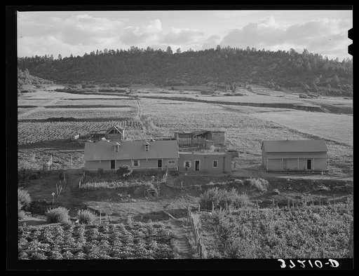 Spanish-American family homes in a group, farming land in the background.  Llano de San Juan, New Mexico