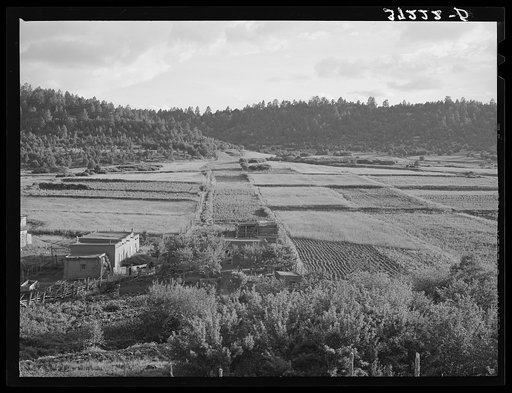 Division and subdivision of farming lands. One of the main problems of these farms is shown here. Llano de San Juan, New Mexico