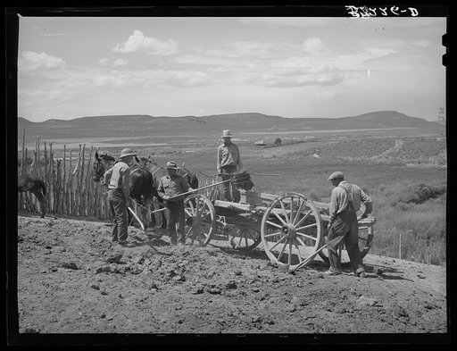 Members of FSA (Farm Security Administration) cooperative manure spreader placing manure on farmland. Box Elder County, Utah