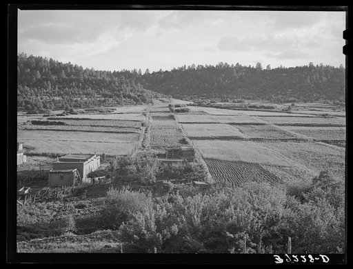 Untitled photo, possibly related to: Division and subdivision of farming lands. One of the main problems of these farms is shown here. Llano de San Juan, New Mexico
