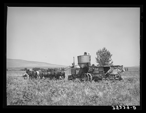 Untitled photo, possibly related to: The old method of drawing a combine; ten or more horses were used. Box Elder County, Utah