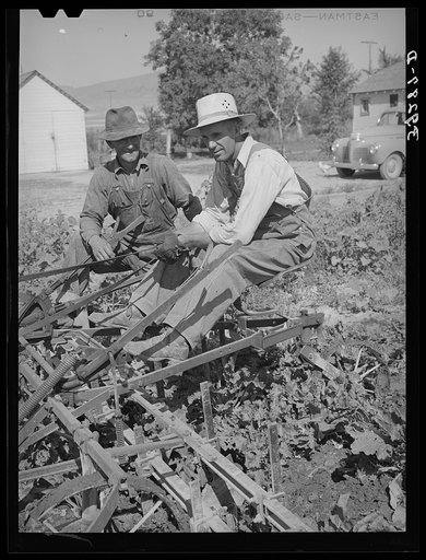 Members of FSA (Farm Security Administration) cooperative sugar beet cultivator. Box Elder County, Utah