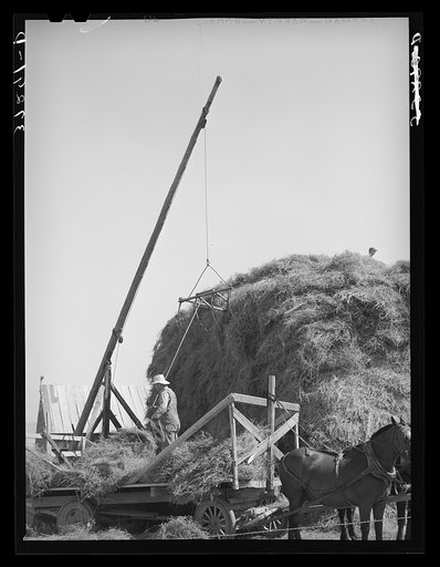 Mormon hay stacker in use. Box Elder County, Utah