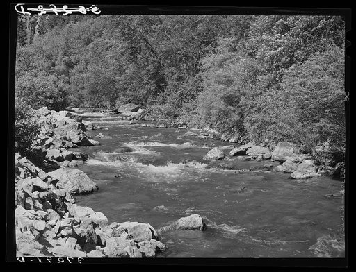 Mountain stream, the Logan River. Cache County, Utah