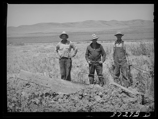 Members of the FSA (Farm Security Administration) cooperative ditcher. Box Elder County, Utah