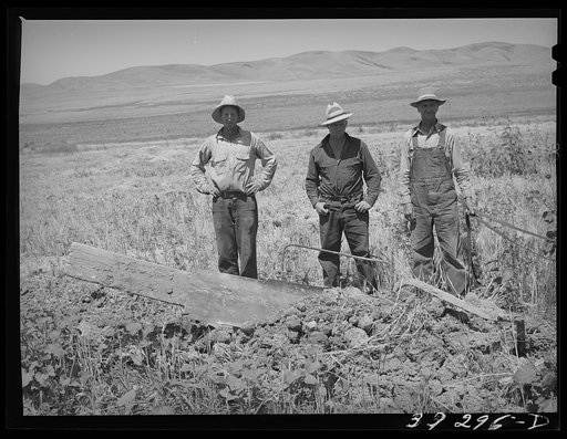 Untitled photo, possibly related to: Members of the FSA (Farm Security Administration) cooperative ditcher. Box Elder County, Utah