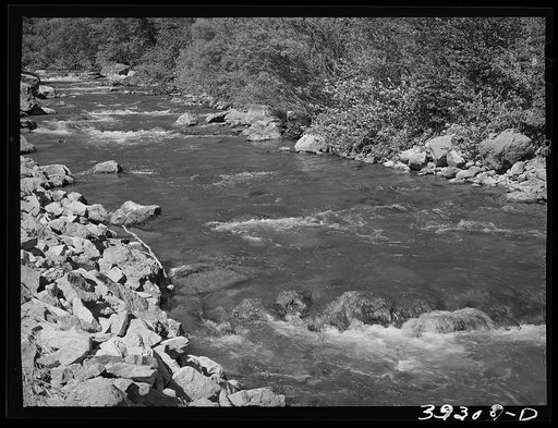 Untitled photo, possibly related to: Mountain stream, the Logan River. Cache County, Utah