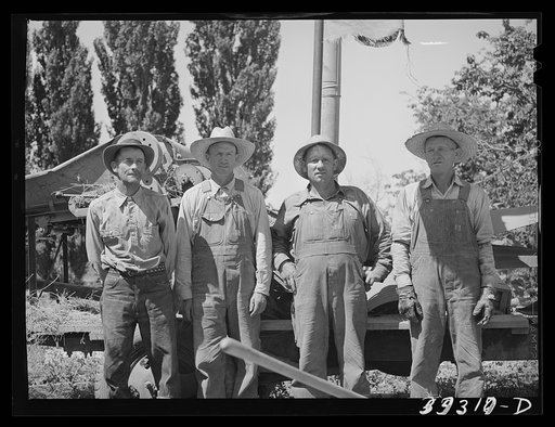 Members of FSA (Farm Security Administration) cooperative (Harper hay chopper). Box Elder County, Utah