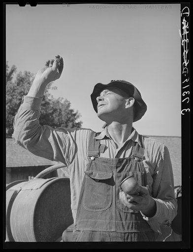 Farmer looking through carburetor jet of the converted automobile which furnishes power for FSA (Farm Security Administration) cooperative orchard sprayer. Cache County, Utah