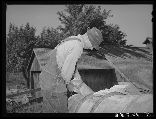 Farmer putting lead arsenate into tank of FSA (Farm Security Administration) cooperative orchard sprayer. Cache County, Utah