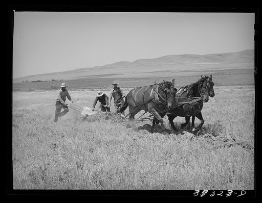 FSA (Farm Security Administration) cooperative. West Bear river ditcher in action. Box Elder County, Utah