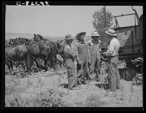 Mr. Thayne, FSA (Farm Security Administration) cooperative specialist, talking to the three Ericson brothers about forming a cooperative to buy a tractor to replace their horses. Box Elder County, Utah