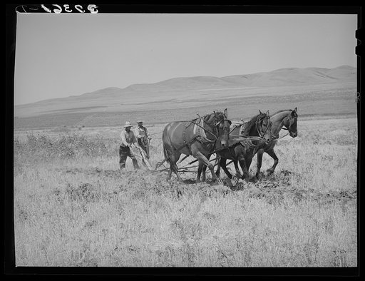 The first step in digging a ditch with a ditcher is to plow a furrow. Box Elder County, Utah