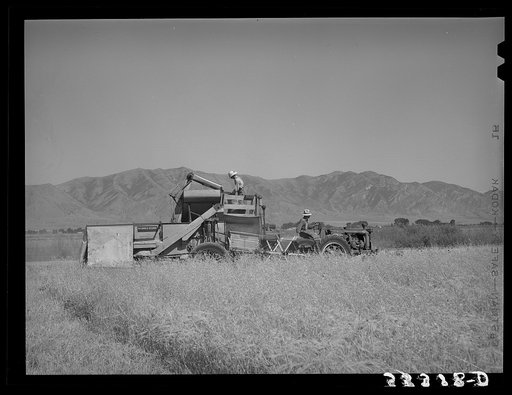 FSA (Farm Security Administration) cooperative binder in action. Box Elder County, Utah