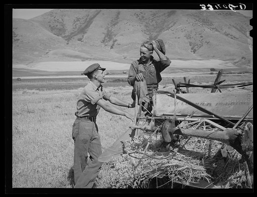 Neighboring farmer asking one of the members of the Olsen cooperative binder when custom work could be done for him. Mantua, Utah