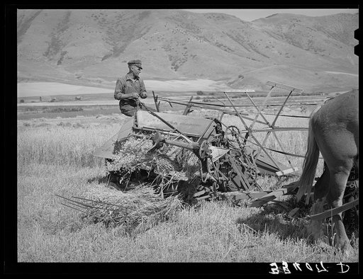 Untitled photo, possibly related to: FSA (Farm Security Administration) cooperative binder in action. Mantua, Utah