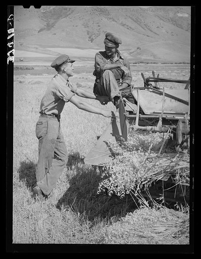 Untitled photo, possibly related to: Neighboring farmer asking one of the members of the Olsen cooperative binder when custom work could be done for him. Mantua, Utah
