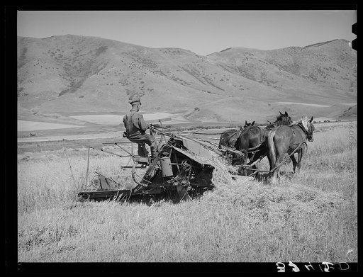FSA (Farm Security Administration) cooperative binder in action. Mantua, Utah