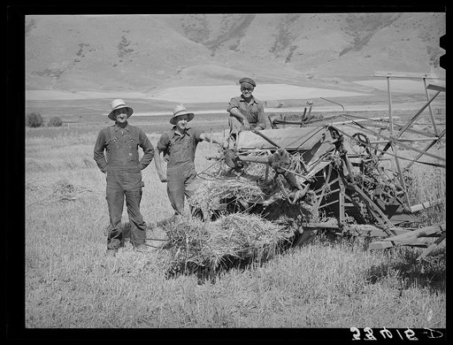 Members of the FSA (Farm Security Administration) cooperative binder (Olsen). Mantua, Utah