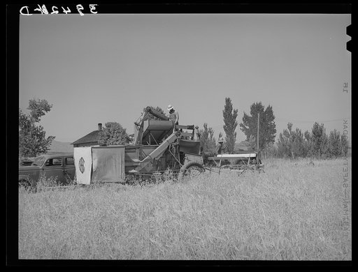 Untitled photo, possibly related to: FSA (Farm Security Administration) cooperative binder in action. Box Elder County, Utah