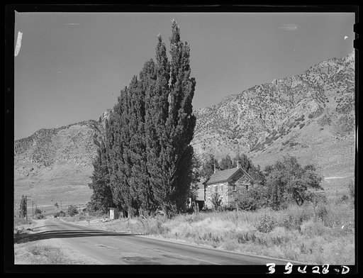 Rural scene. Box Elder County, Utah