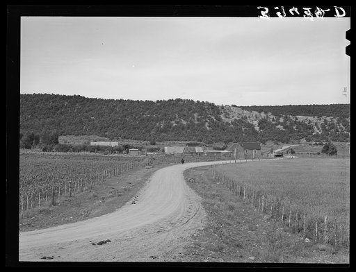 Rural scene. Taos County, near Penasco, New Mexico