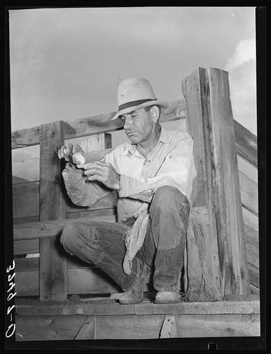 Sheepherder rolling a cigarette. Cimarron, Colorado