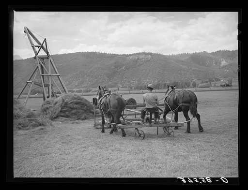 Type of hay pusher which is used in the Uncompahgre River Valley. Ouray County, Colorado