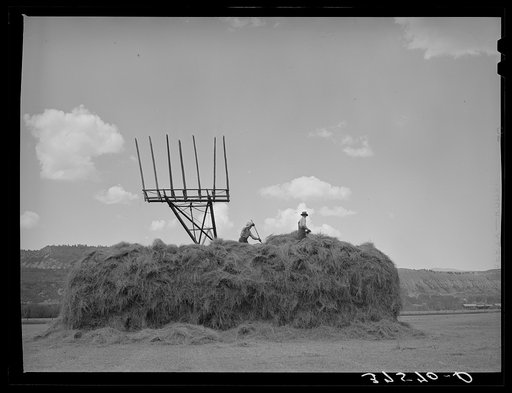 Hay stacker and haystack. Ouray County, Colorado