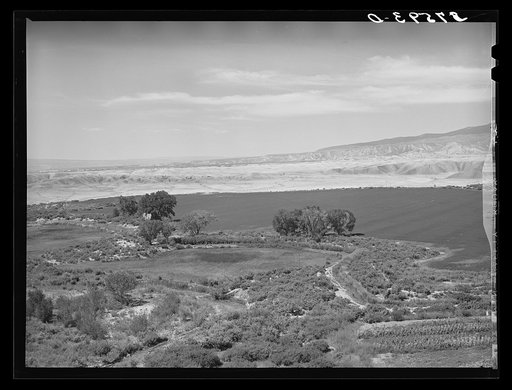 Irrigated farm land in Delta County, Colorado