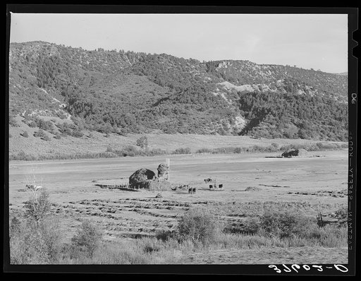 Putting up hay in a mountain valley in Ouray County