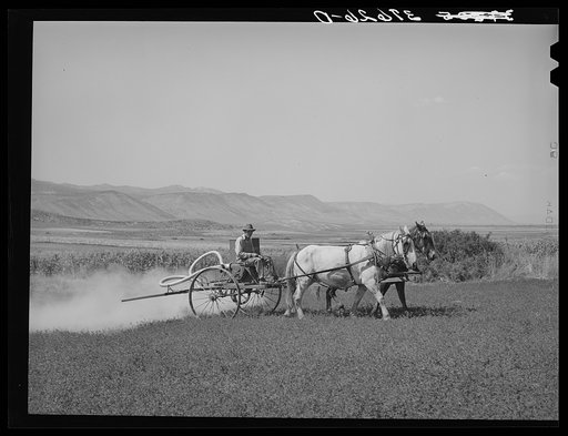 Duster of the Allen Valley Duster Association in action. Sanpete County, Utah. This is a FSA (Farm Security Administration) cooperative